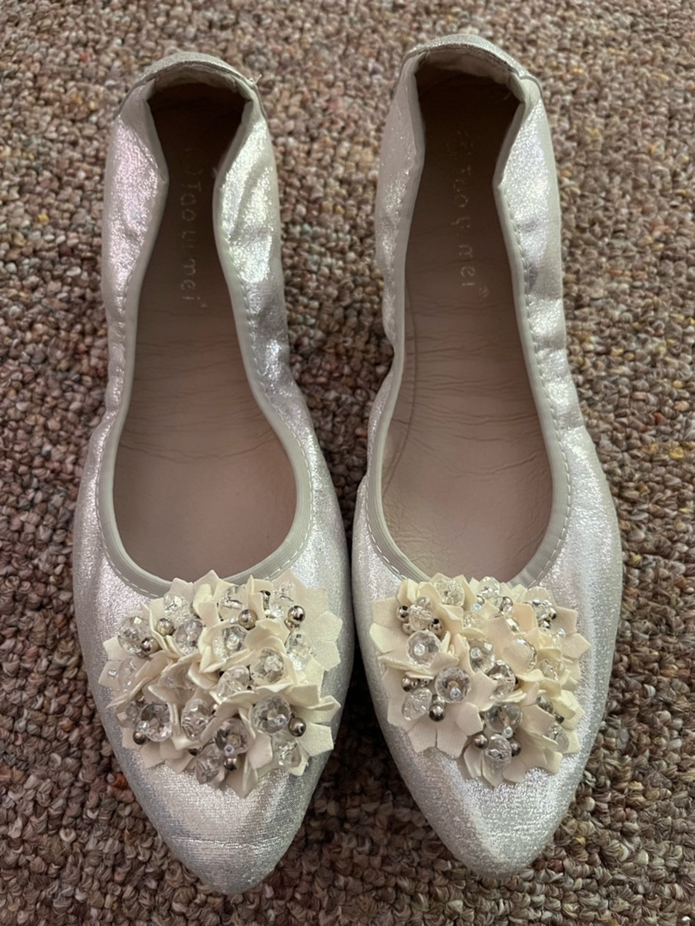 Tao Yi Mei Silver Ballet Style flats